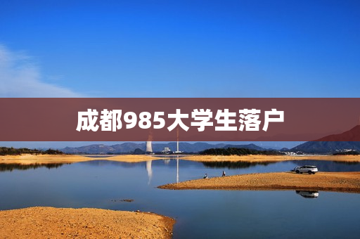 成都985大学生落户