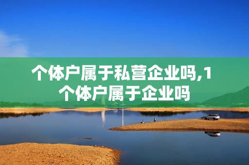 个体户属于私营企业吗,1 个体户属于企业吗