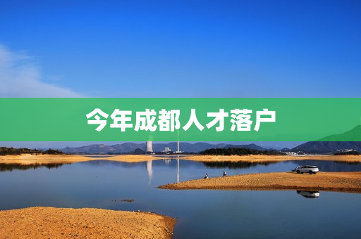 今年成都人才落户
