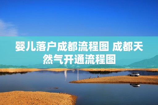 婴儿落户成都流程图 成都天然气开通流程图