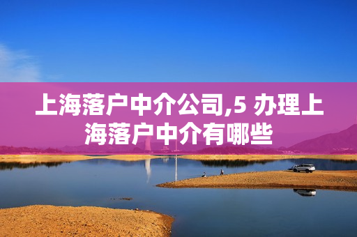 上海落户中介公司,5 办理上海落户中介有哪些
