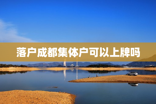 落户成都集体户可以上牌吗