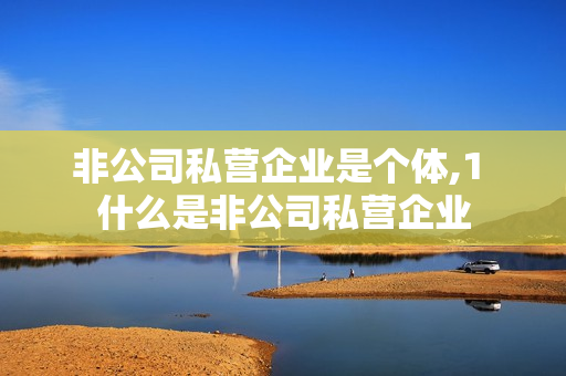 非公司私营企业是个体,1 什么是非公司私营企业
