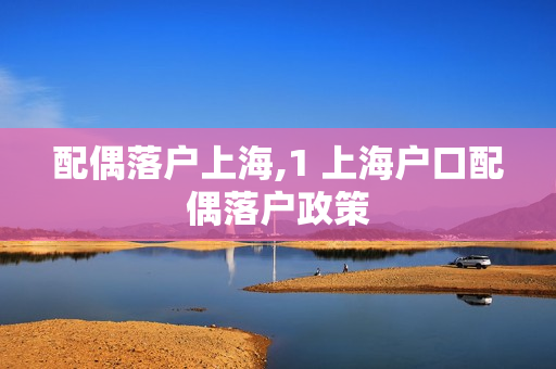 配偶落户上海,1 上海户口配偶落户政策