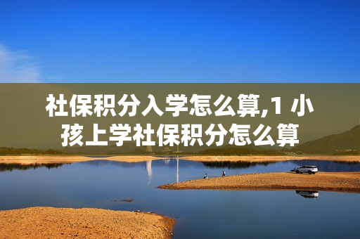 社保积分入学怎么算,1 小孩上学社保积分怎么算