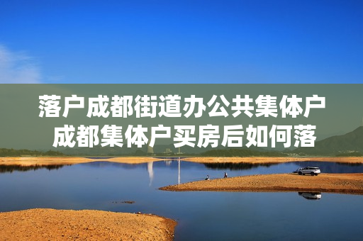 落户成都街道办公共集体户 成都集体户买房后如何落户