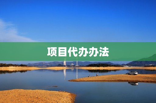 项目代办办法(项目立项审批管理办法)
