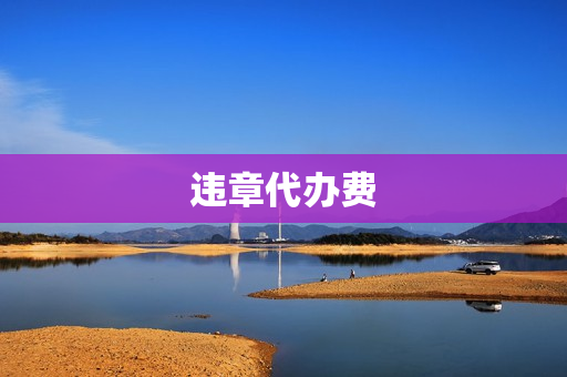 违章代办费(交通违章罚款代缴)