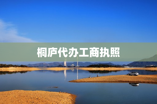桐庐代办工商执照(杭州代办个体营业执照)