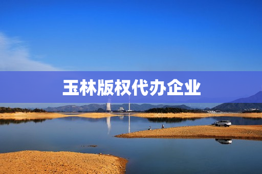 玉林版权代办企业(版权申请代理)