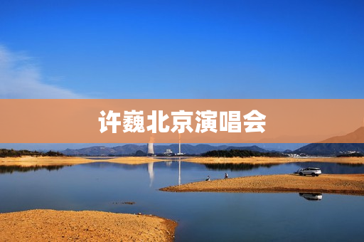 许巍北京演唱会(许巍开过几场演唱会)