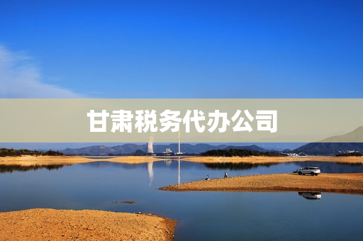 甘肃税务代办公司(代办公司)