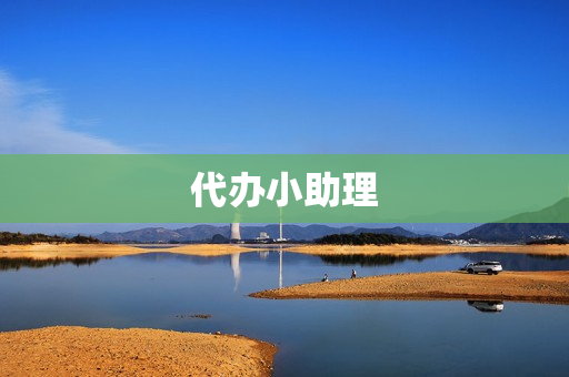 代办小助理(代办助理工程师要多少钱)