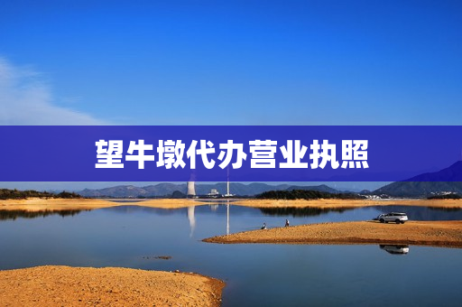 望牛墩代办营业执照(代办个体营业执照)