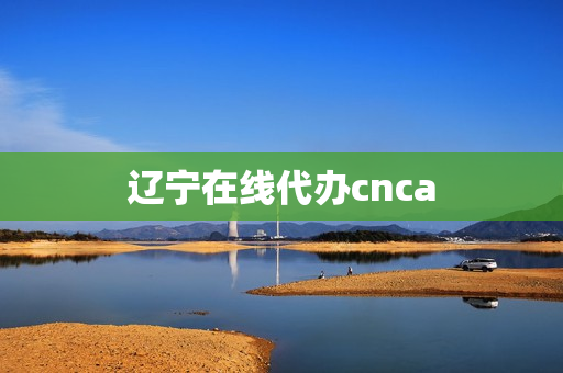 辽宁在线代办cnca(辽宁地区社保代办公司)