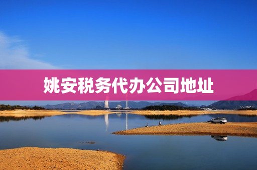 姚安税务代办公司地址(代办公司)