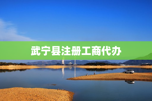 武宁县注册工商代办(工商代办服务公司)