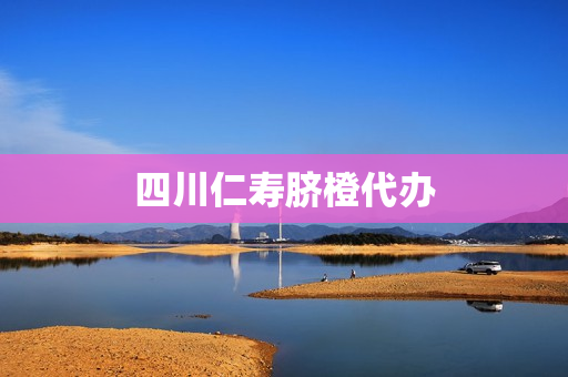 四川仁寿脐橙代办(脐橙销售平台)