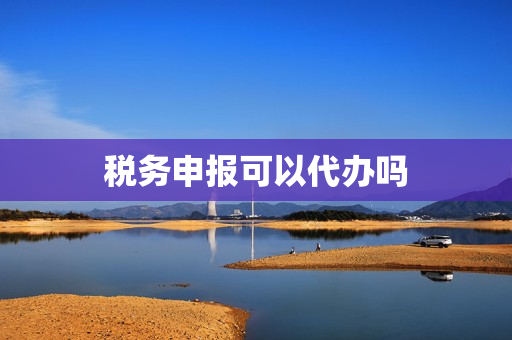 税务申报可以代办吗(企业税务申报流程)