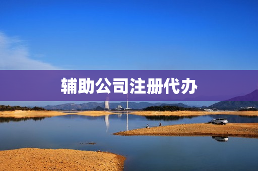 辅助公司注册代办(公司代办)