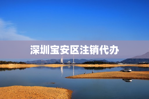 深圳宝安区注销代办(深圳注销公司在哪里办理)