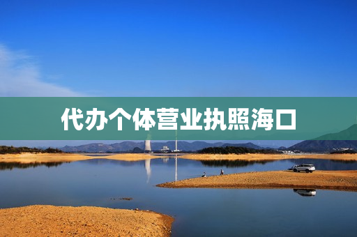代办个体营业执照海口(办个体营业执照需要什么)