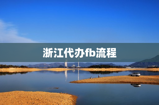 浙江代办fb流程(签证怎么办理流程)