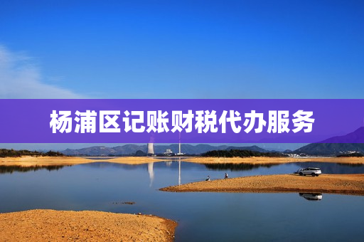 杨浦区记账财税代办服务(免费记账财务软件)