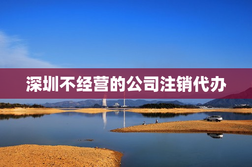 深圳不经营的公司注销代办(深圳公司简易注销流程)