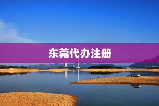 东莞代办注册(东莞注册)