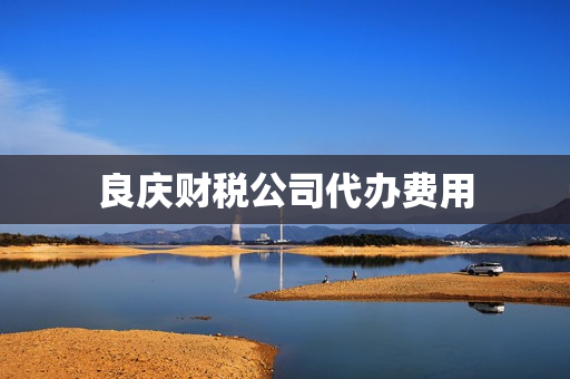 良庆财税公司代办费用(财税公司是做什么的)