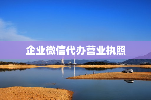 企业微信代办营业执照(网上代办营业执照)
