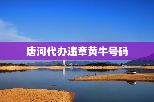 唐河代办违章黄牛号码(专业处理违章黄牛)