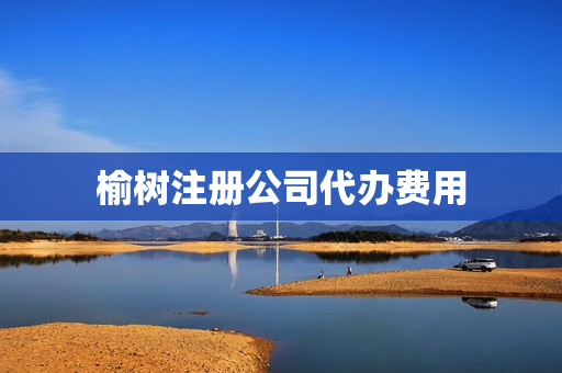 榆树注册公司代办费用(上海注册公司流程和费用标准)