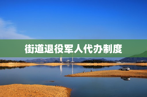 街道退役军人代办制度(街道退役军人服务站具体工作)