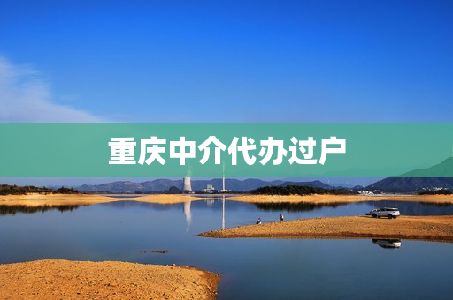 重庆中介代办过户(中介代办过户费800)
