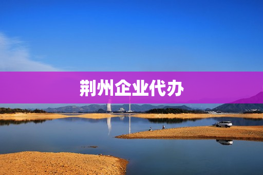 荆州企业代办(荆州女企业)