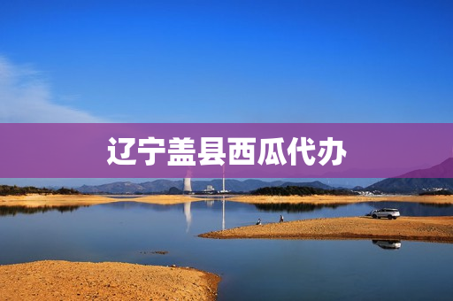 辽宁盖县西瓜代办(云南西瓜代办)