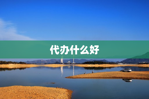 代办什么好(代办什么业务挣钱)