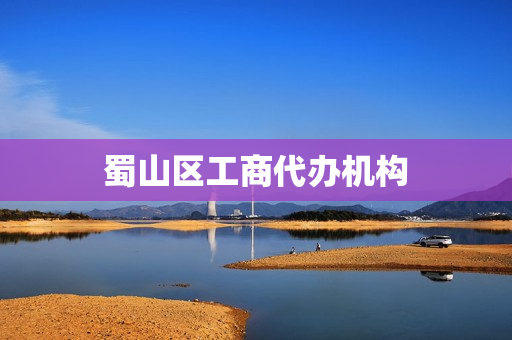 蜀山区工商代办机构(工商代办服务公司)