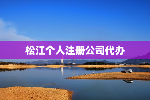 松江个人注册公司代办(嘉定注册公司)