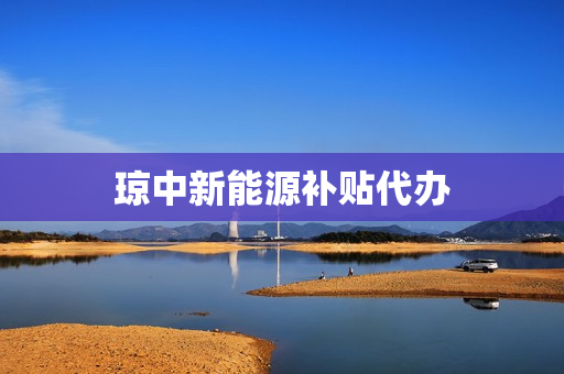 琼中新能源补贴代办(买新能源汽车有补贴吗)