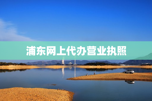 浦东网上代办营业执照(浦东新区办营业执照哪里办)