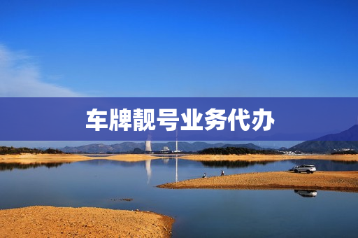 车牌靓号业务代办(车牌靓号网官方)