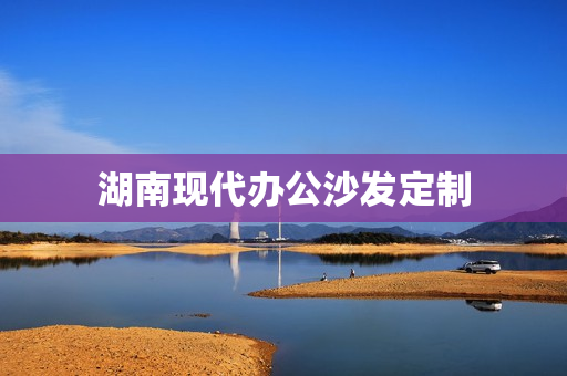 湖南现代办公沙发定制(办公沙发家具图片大全)