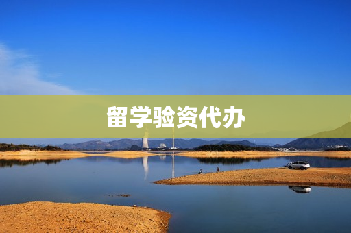 留学验资代办(留学签证代办)