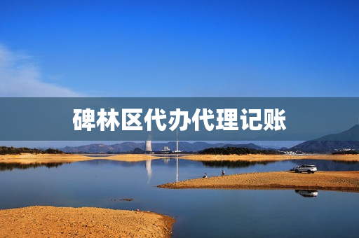 碑林区代办代理记账(全国代理记账公司)