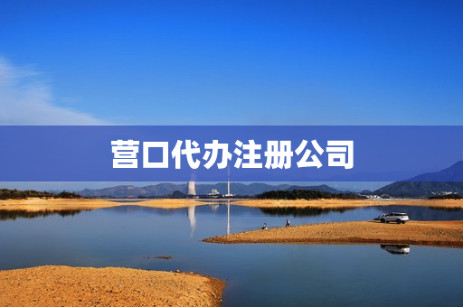 营口代办注册公司(营口的公司)
