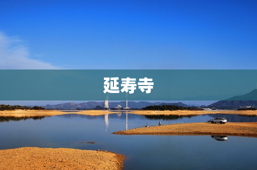 延寿寺(延寿寺的历史)
