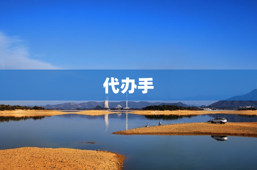 代办手(找中介代办手续)
